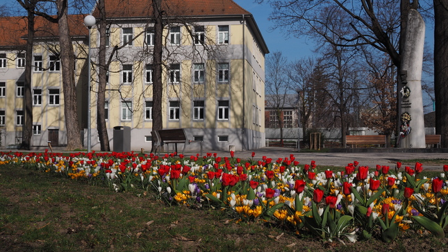 Kvety v Trenčíne