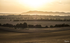žatva v plnom prúde