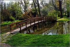 na prechádzke v parku