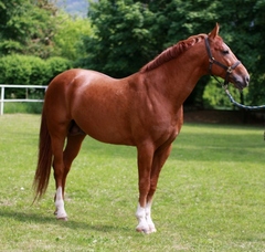 FARVAY