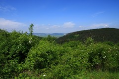 Nedelná pohoda