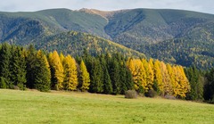 Jesen pod Tatrami