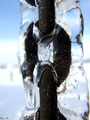 Ice Chain