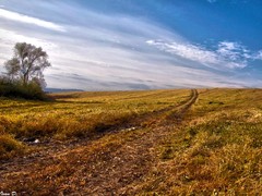 Just Walk