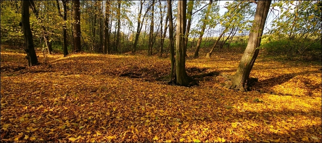 Podzimní