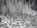 dolina - Vyšná Boca