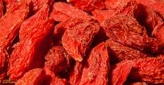 Goji - Kustovnica cinska