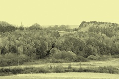 trochu nostalgie_2