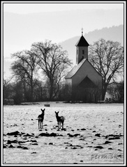 Pominovec 1