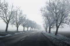 Winterland