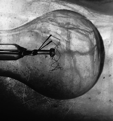 bulb