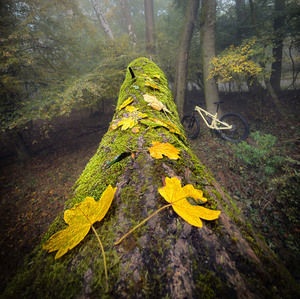 Čaro jesennej bajkovačky