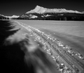 ...backcountry...