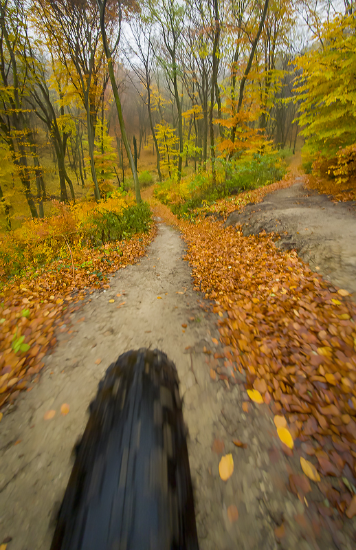 Bikerska jesen