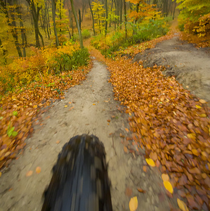 Bikerska jesen