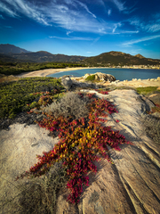 Algajola -Corse