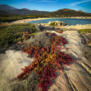 Algajola -Corse