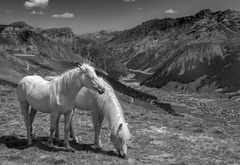 Livigno