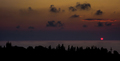 Tropea