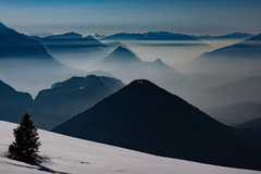 Trentino