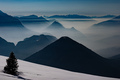 Trentino
