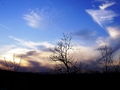 himmel 