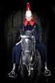 English Guard