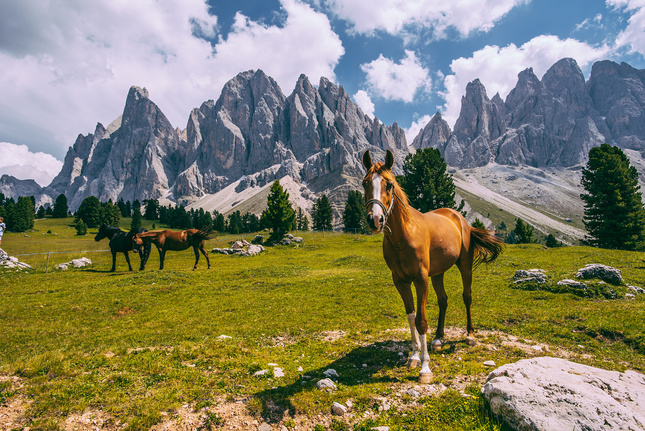 Dolomiti