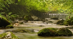 Malofatranská divočina