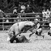 rodeo Hodkovce 2012