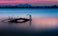 Ružový súmrak ...