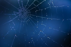 Súhvezdie pavúka ...