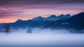 Alpská hmla