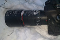 Canon EF 100mm f/2.8 L Macro IS USM