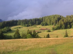 Suchy vrch