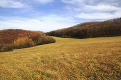 Nedeľa v Soblahove nad chatou