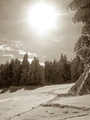 kojšovka