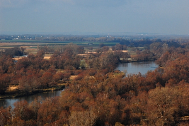 výhľad cez Moravu do Rakúska