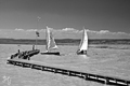 plachetnice