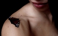 Butterfly effect
