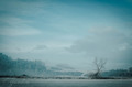 Zima