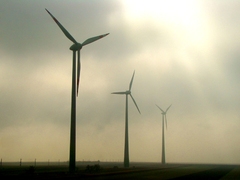 Fading out in the fog / a predsa