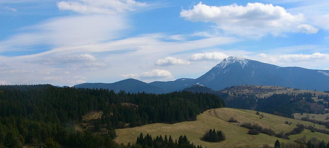 Choč