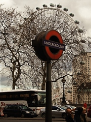 Underground Eye