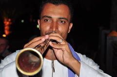 Muzikant