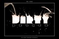 Milk Splash