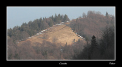 Cestička