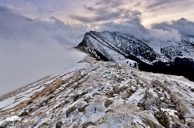 Mystical mountains