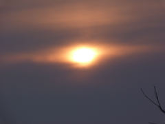UFO ?