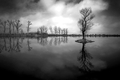 Silent